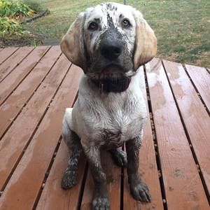 Meet your Posher, Dana